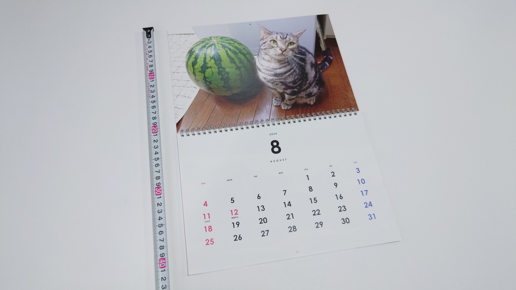 2024年 壁掛け猫カレンダー 姫華のアメショーワールド
