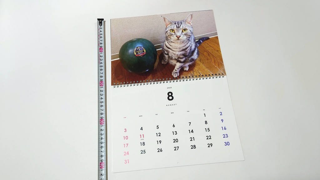2025年 壁掛け猫カレンダー 姫華のアメショーワールド
