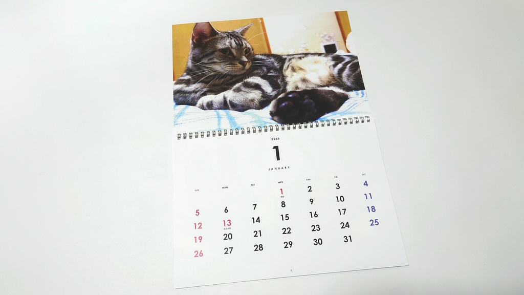 2025年 壁掛け猫カレンダー 姫華のアメショーワールド