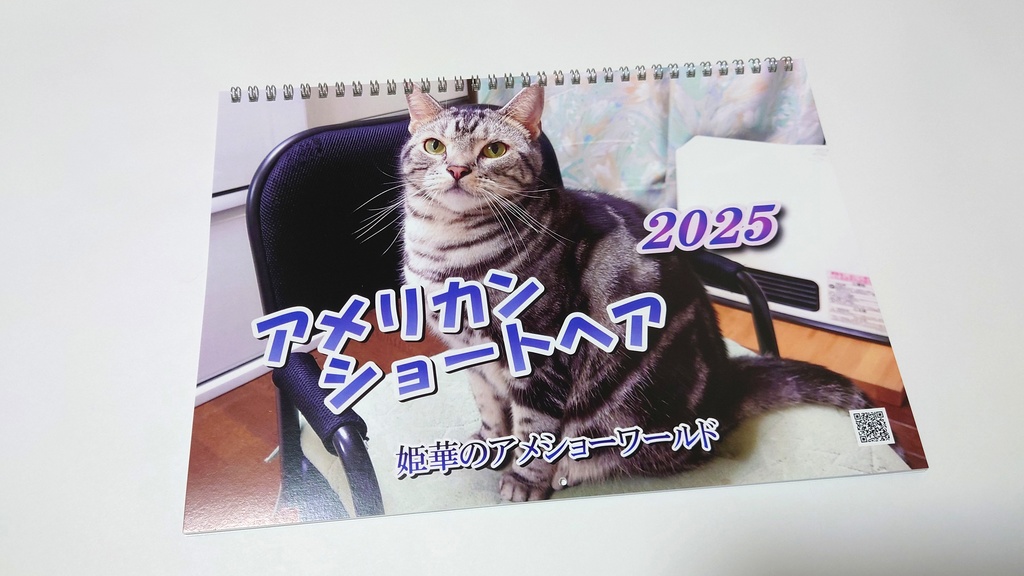 2025年 壁掛け猫カレンダー　姫華のアメショーワールド