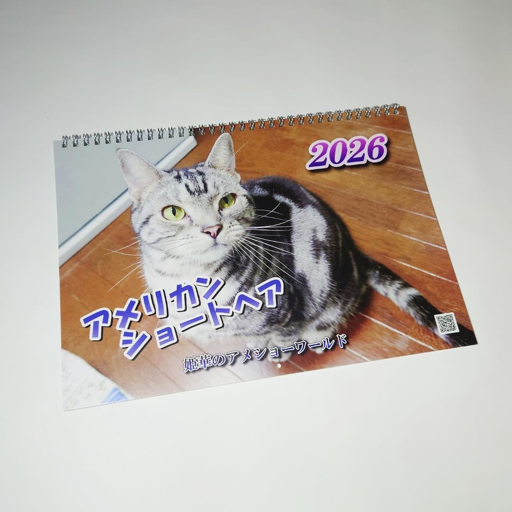 2026年 壁掛け猫カレンダー　姫華のアメショーワールド