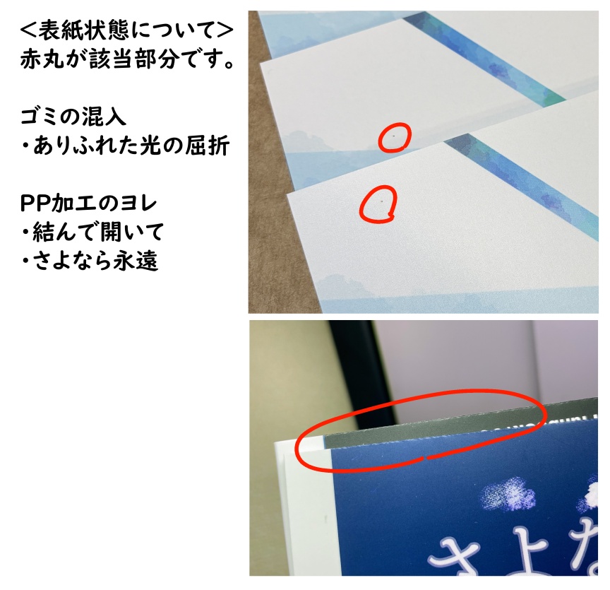ありふれた光の屈折【注意書きあり(本文)/表紙難アリ:ゴミ混入】