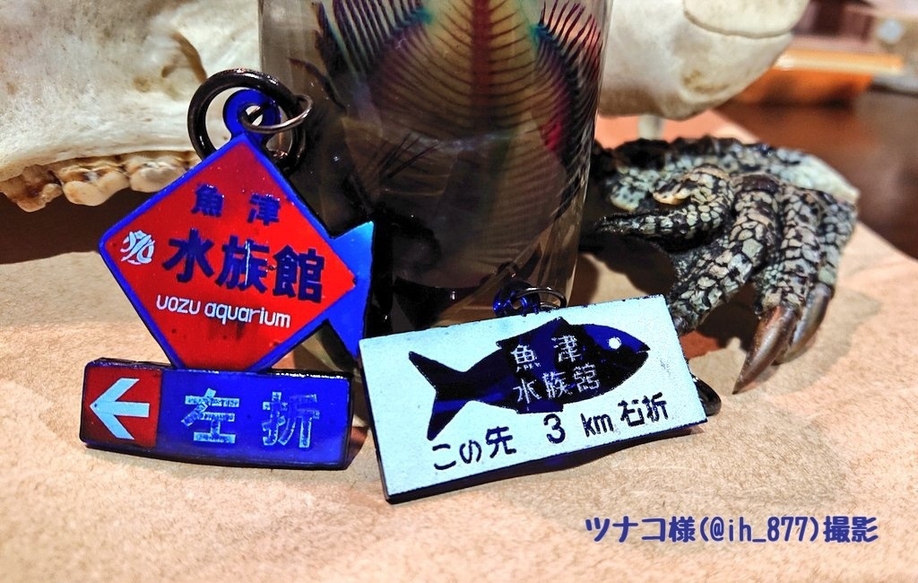 魚津水族館看板アクキー