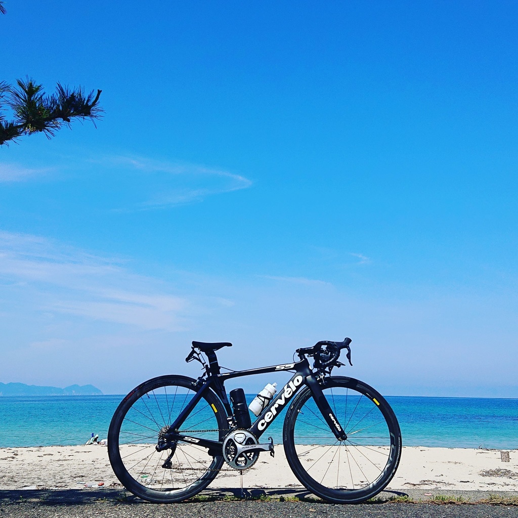 【めだたんぼー®】