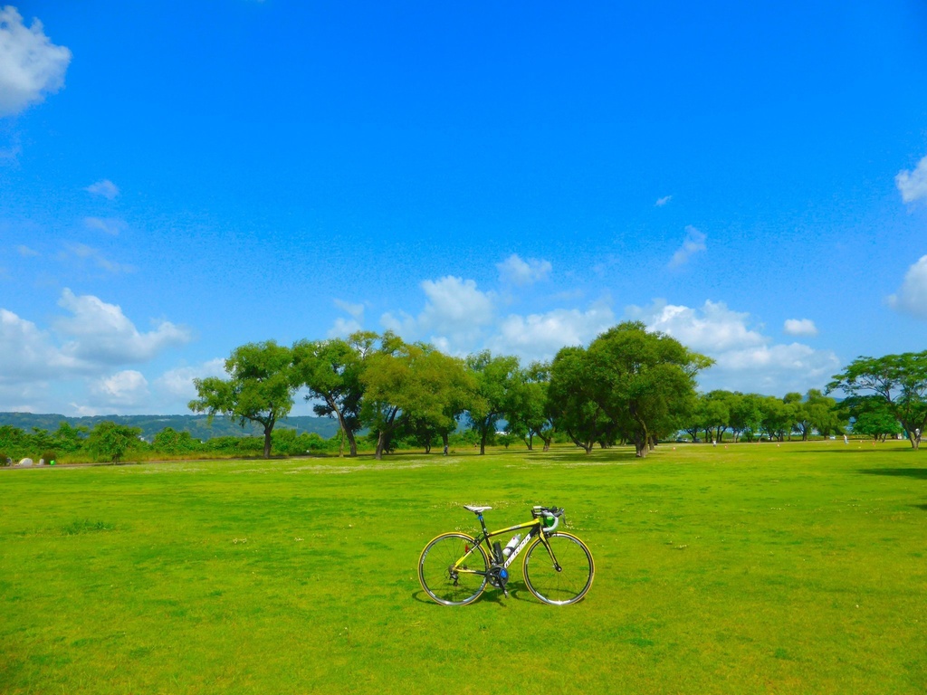 【めだたんぼー®】