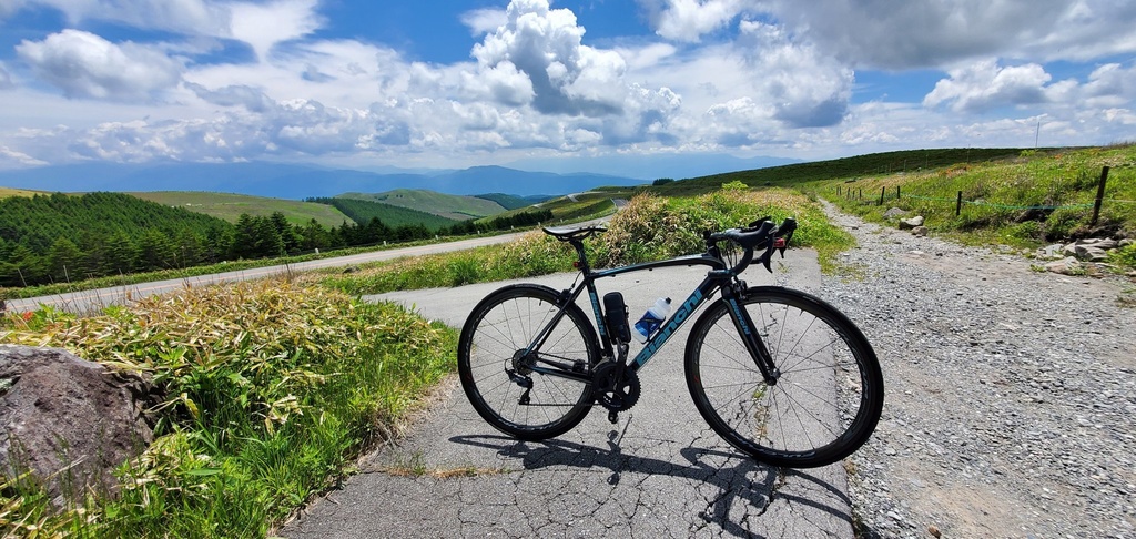 【めだたんぼー®】