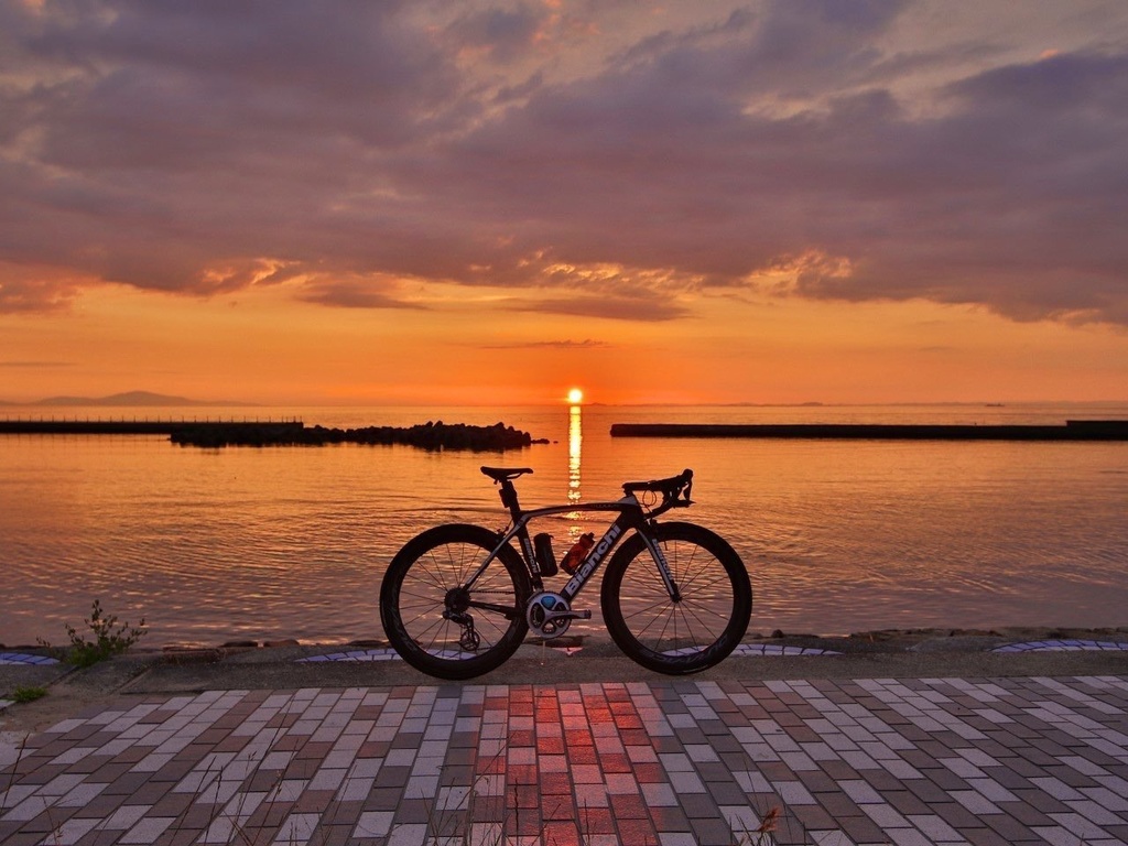 【めだたんぼー®】