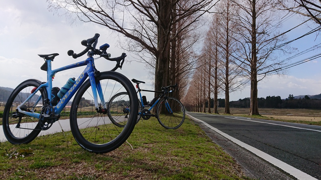 【めだたんぼー®】