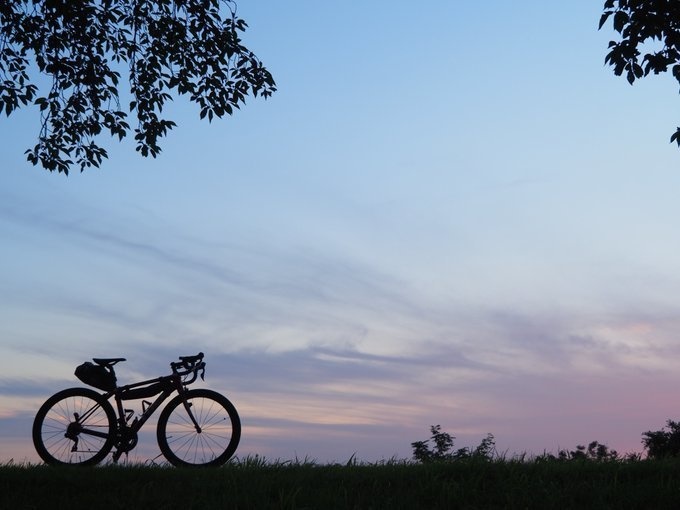 【めだたんぼー®】