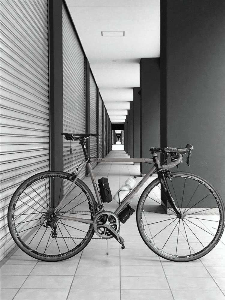 【めだたんぼー®】