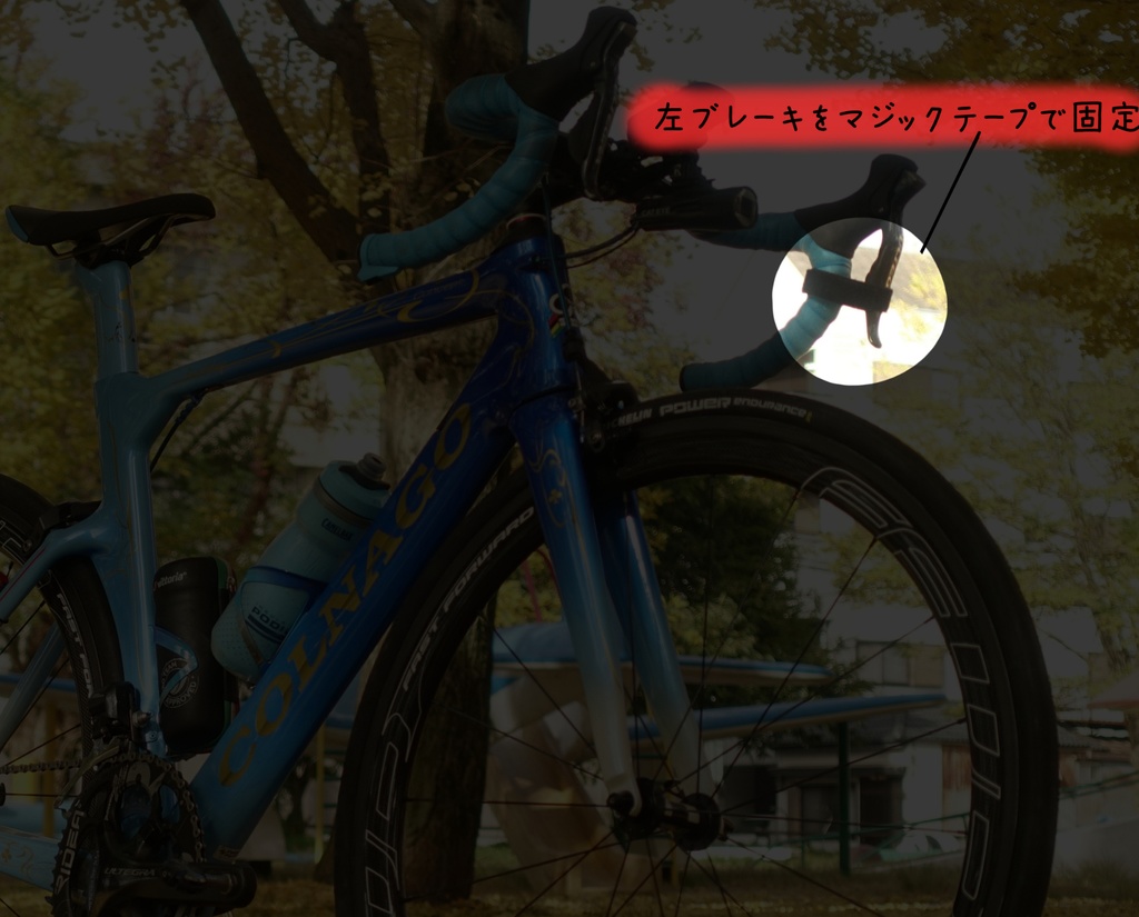 めだたんぼー® ろーんぐ