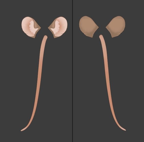 Riisi's "Everything Animal" Set (Rigged)