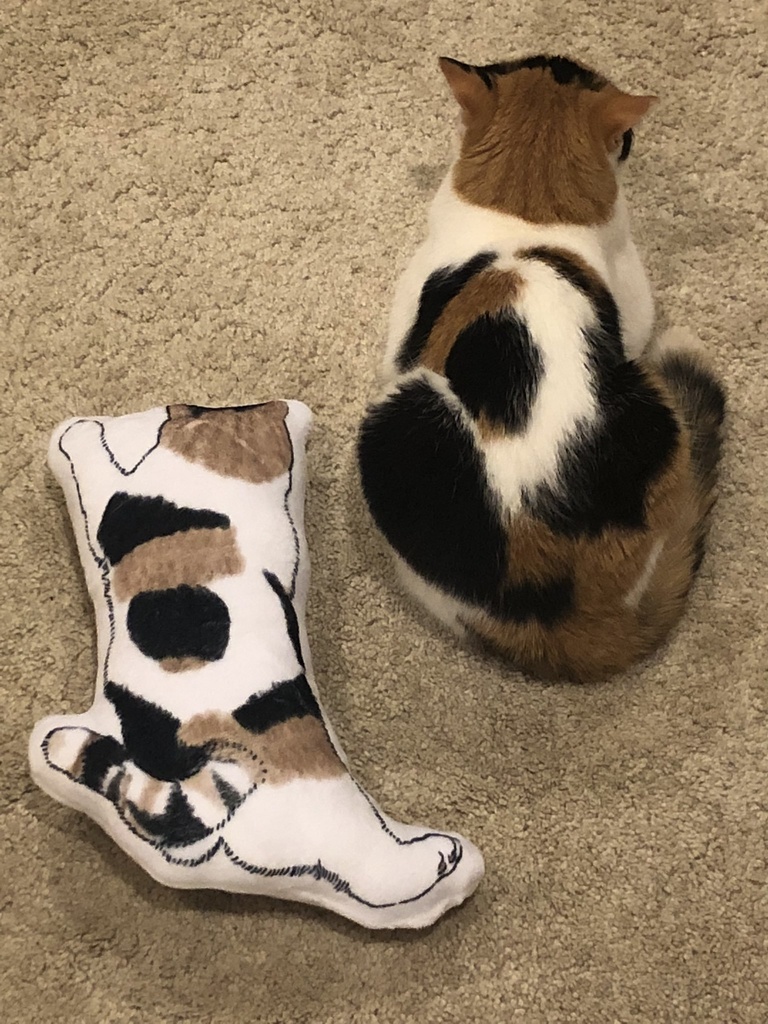 タルトのお腹クッション