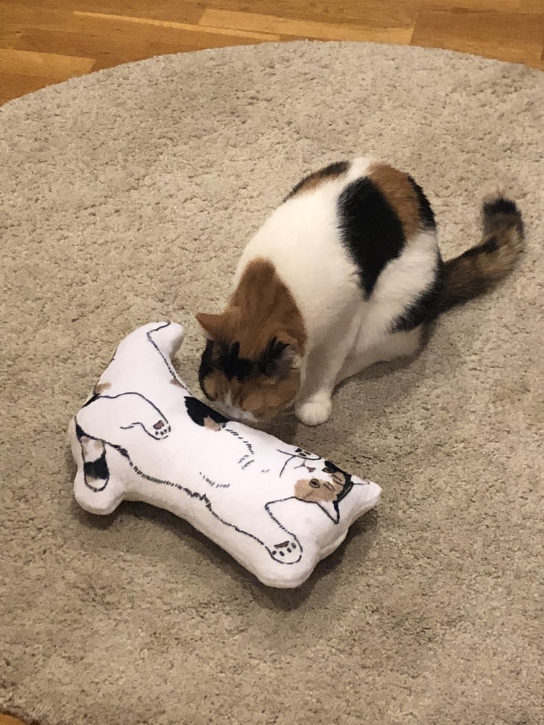 タルトのお腹クッション