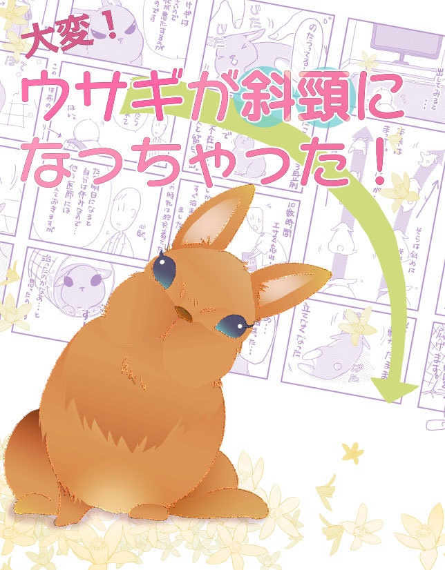 大変！ウサギが斜頸になっちゃった！