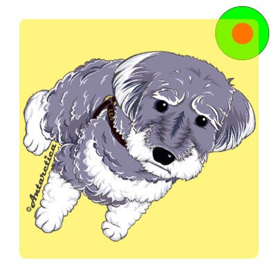 ワンコ見守りアンブレラ・マーカー（シュナウザー）