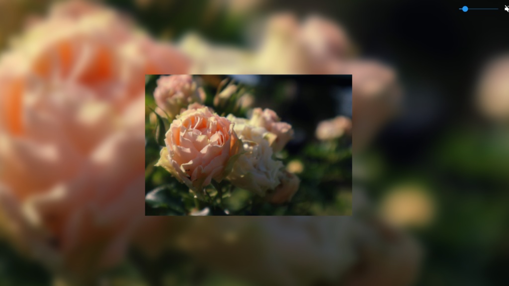 【無料】背景素材(薔薇など)