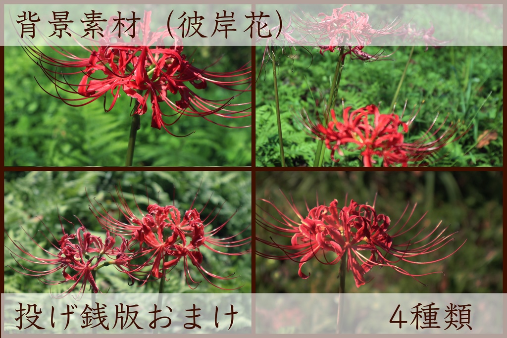 【無料】背景素材(薔薇など)