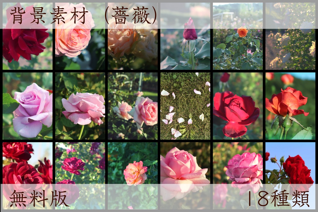 【無料】背景素材（薔薇など）