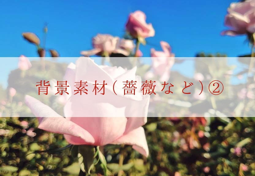 【無料】背景素材（薔薇など）②