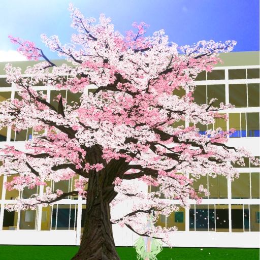 【Vキャス用】普通の桜VCI