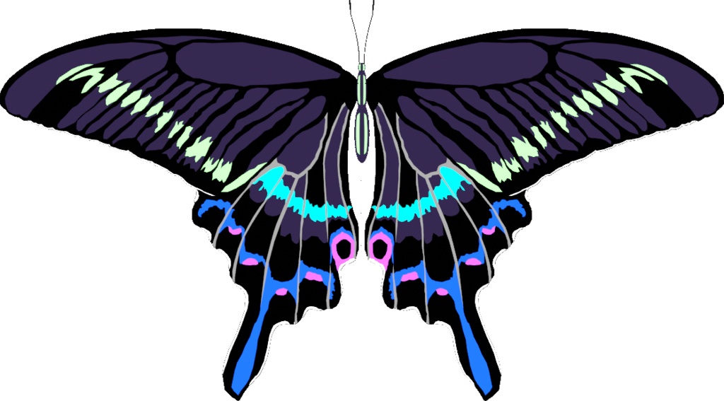 羽ばたく蝶-Flapping butterfly wings-【3D】