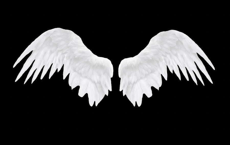 AngelWings -3D-