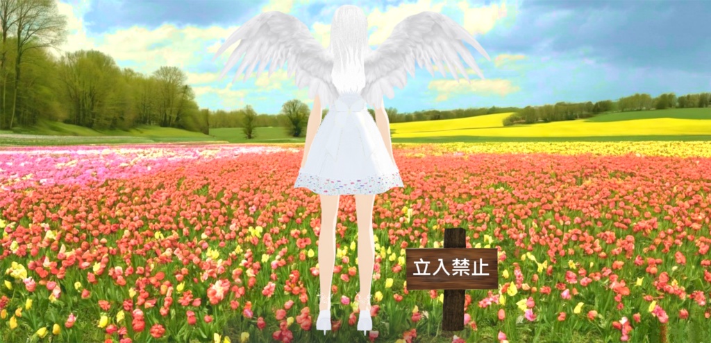 AngelWings -3D-