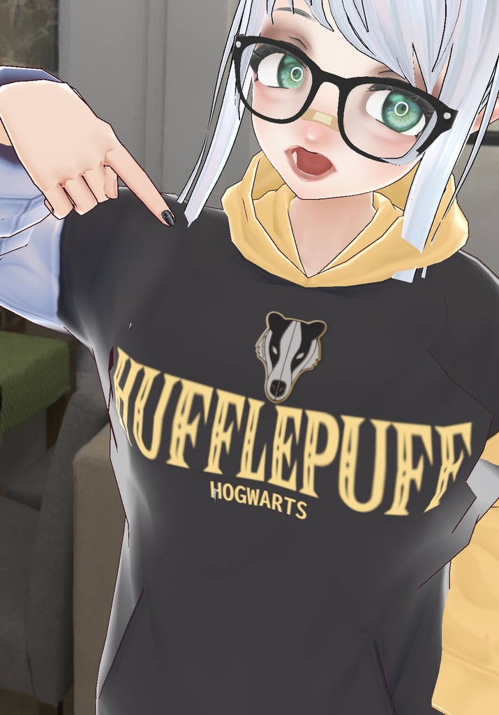Harry Potter House Hoodies
