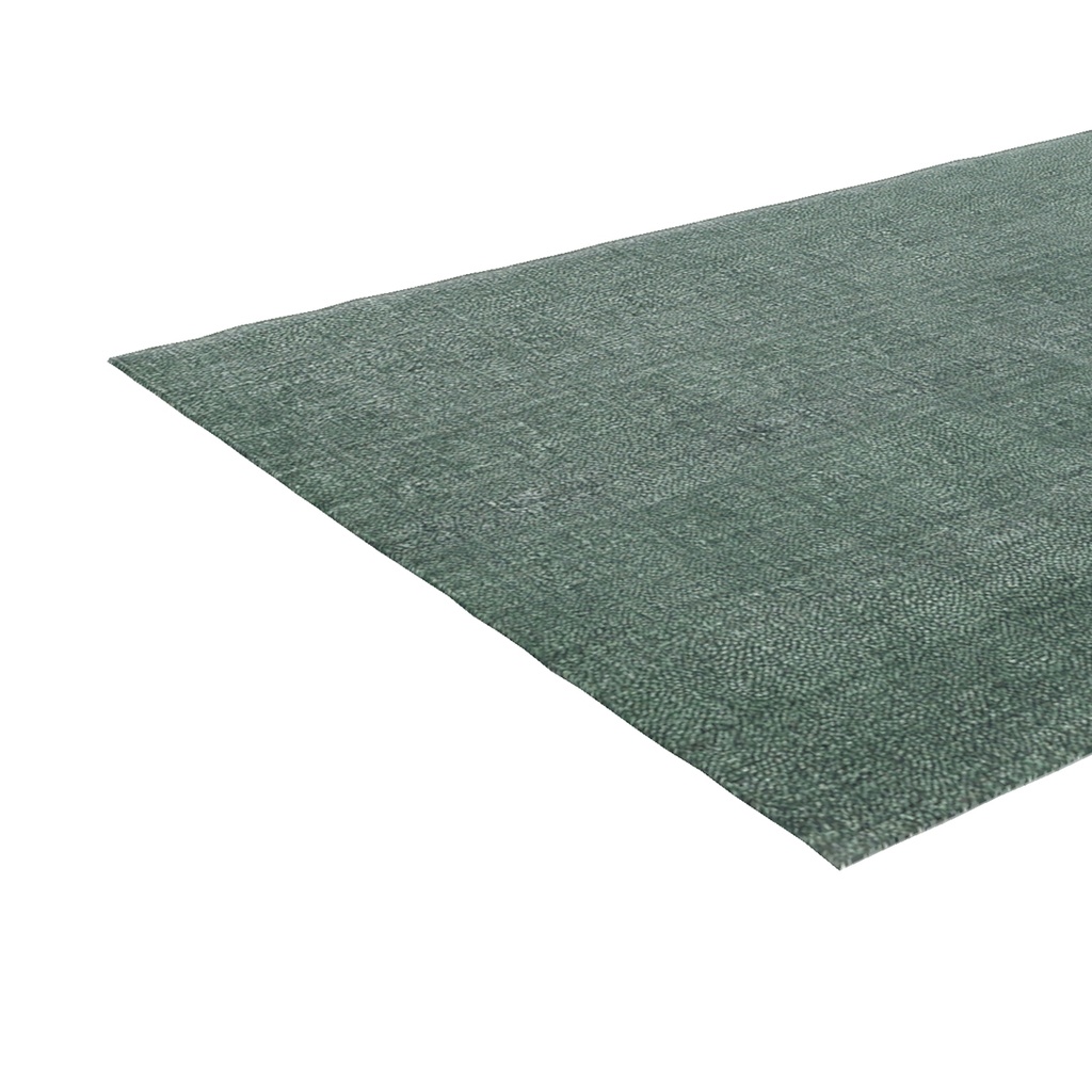 Rug 09