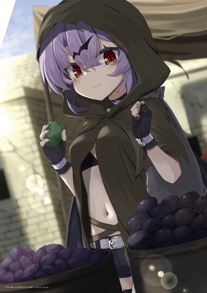 【同人誌】Remilia Role Play【Comic Market 104】