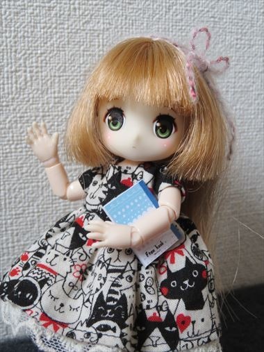 自由帳(オビツ11サイズ)