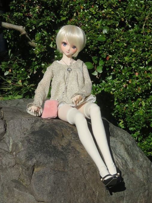 0070)DD用チンアナゴ柄セット