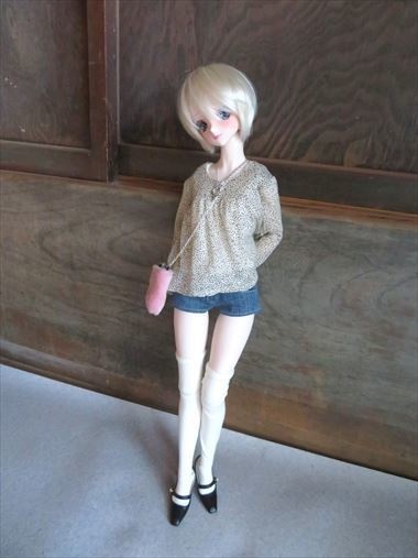 0070)DD用チンアナゴ柄セット