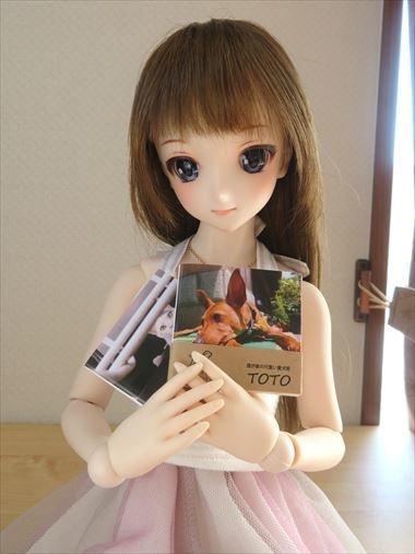 猫さん・犬さん写真集