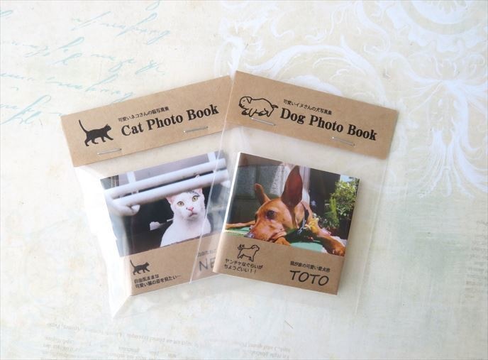 猫さん・犬さん写真集