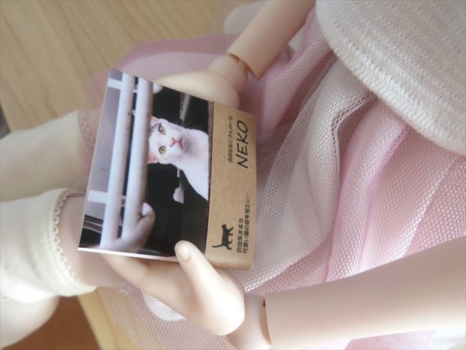 猫さん・犬さん写真集