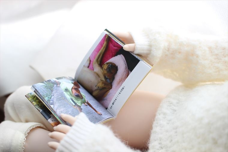 猫さん・犬さん写真集