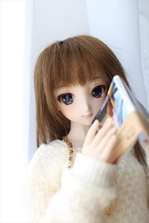 猫さん・犬さん写真集