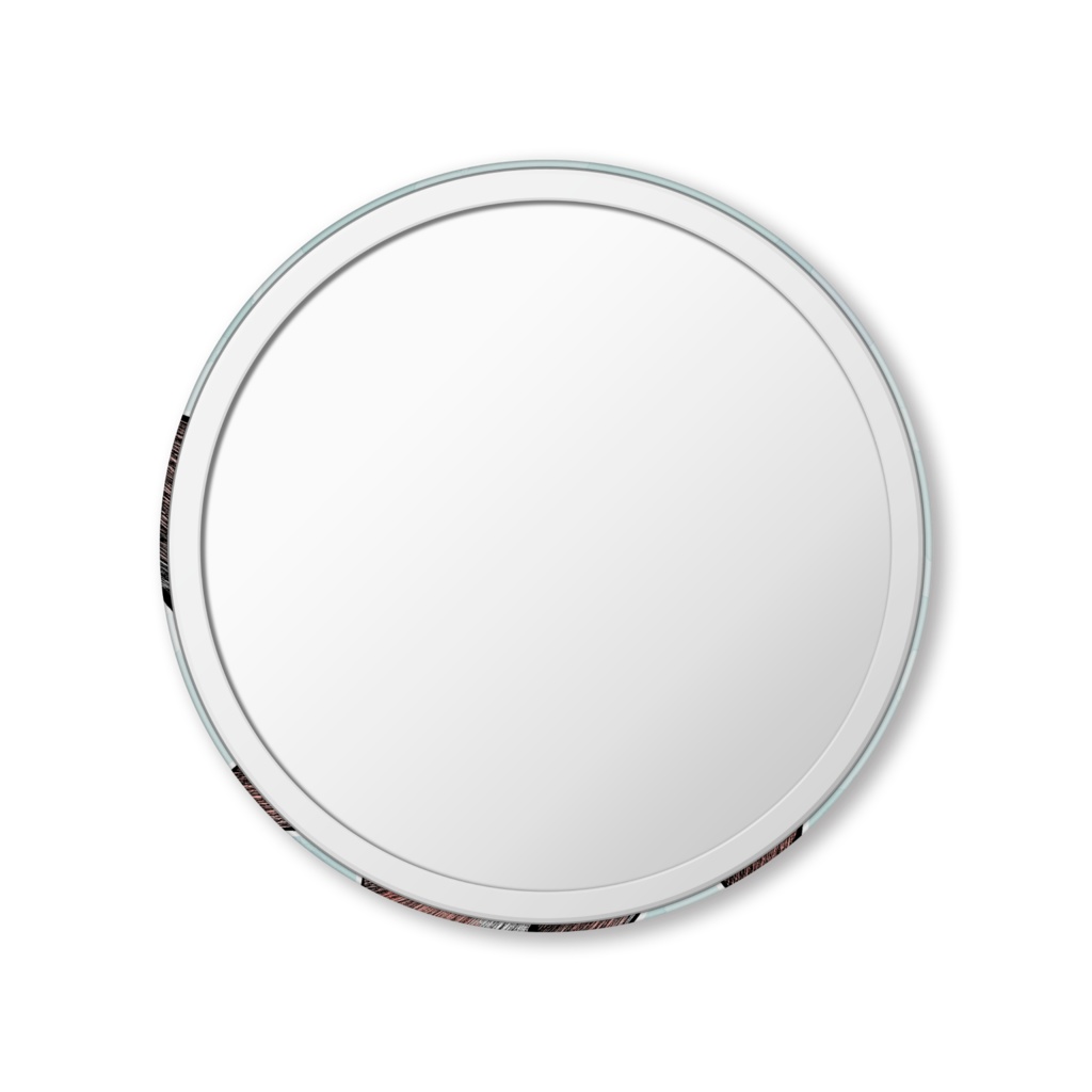 金魚の缶ミラー