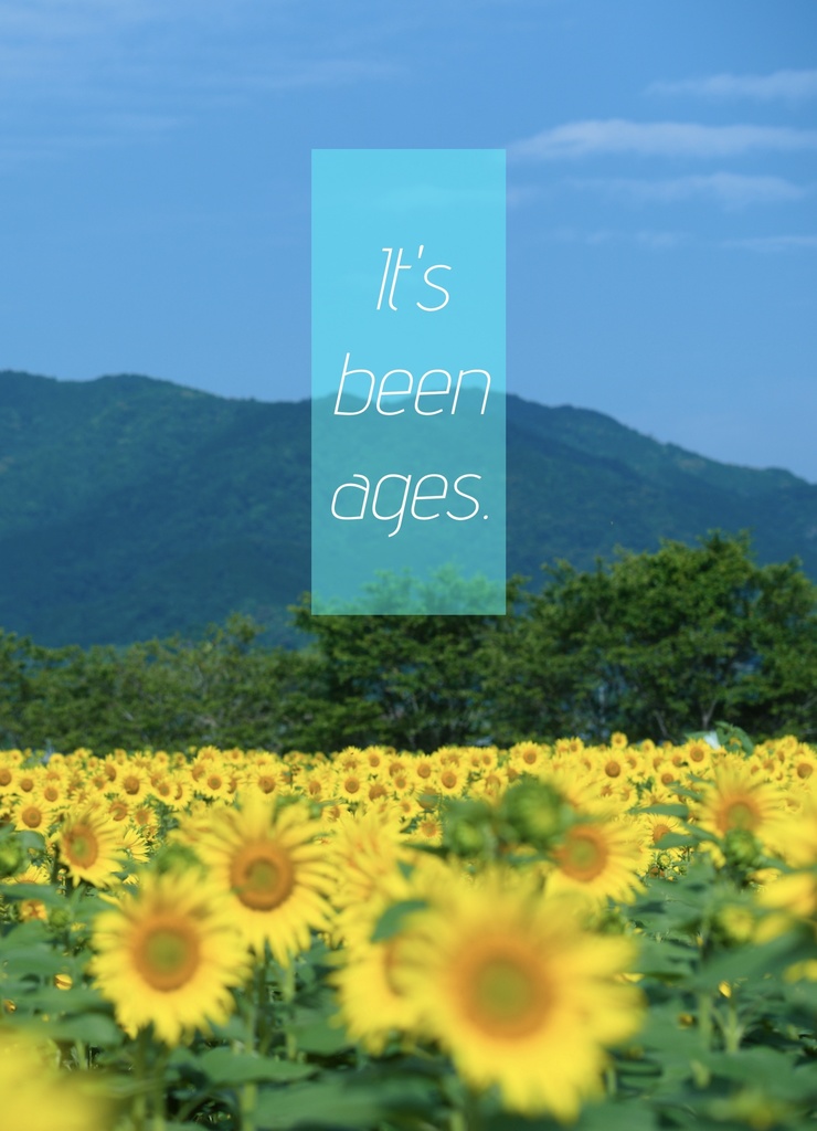 「it's been ages.」