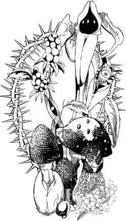 『触手を売る店』ステッカー