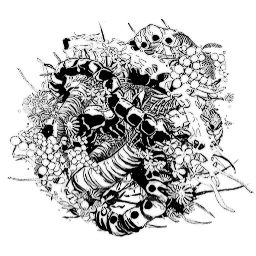 『触手を売る店』ステッカー