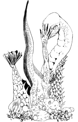 『触手を売る店』ステッカー