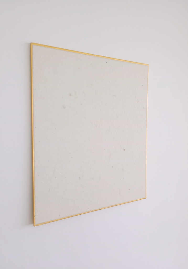 白石和紙色紙 白石和紙×痛軸.com