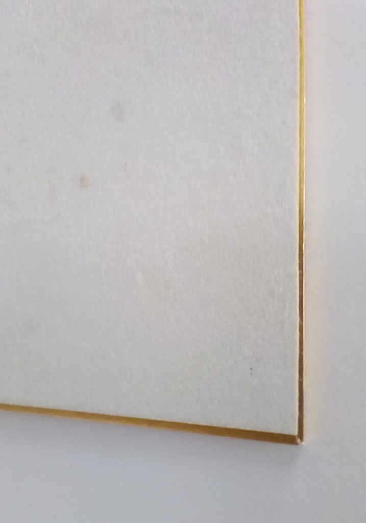 白石和紙色紙 白石和紙×痛軸.com