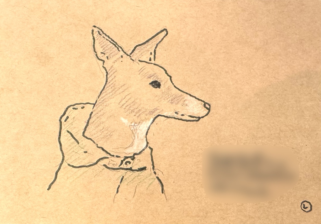 犬ちゃん、猫ちゃん似顔絵を描きます。(描写1体)