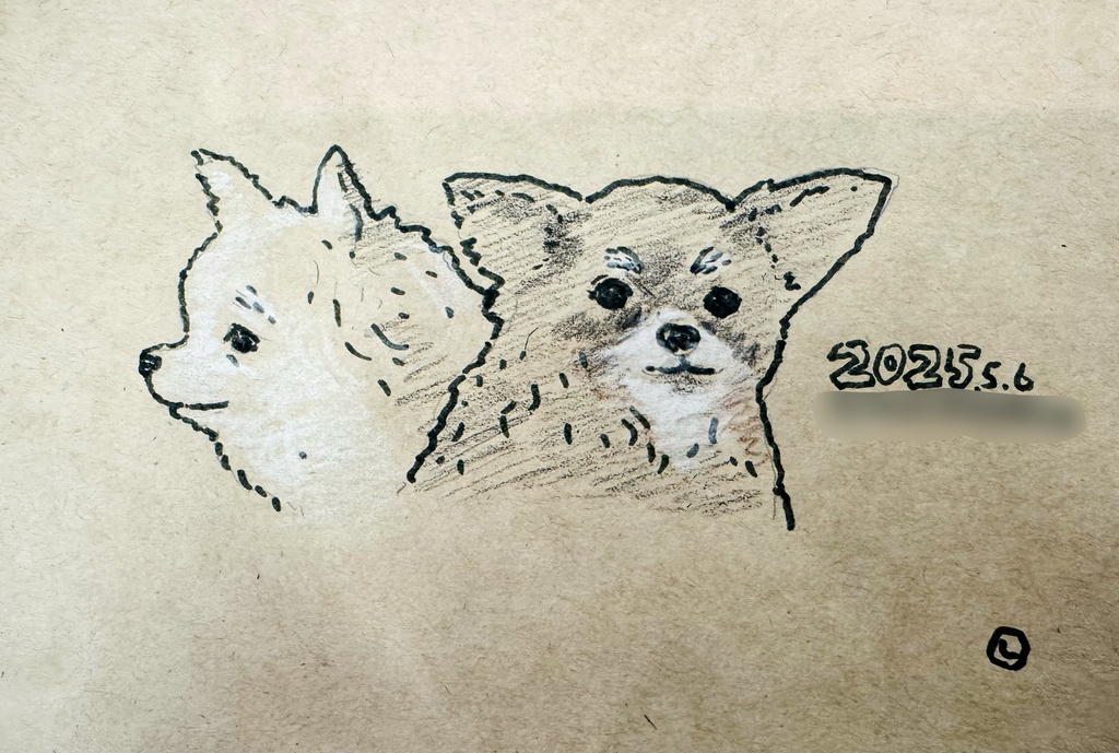 犬ちゃん、猫ちゃん、同伴者様、似顔絵を描きます。（描写2体）
