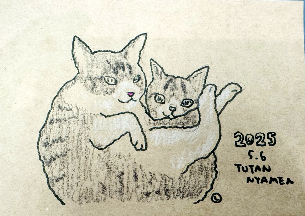 犬ちゃん、猫ちゃん、同伴者様、似顔絵を描きます。(描写2体)