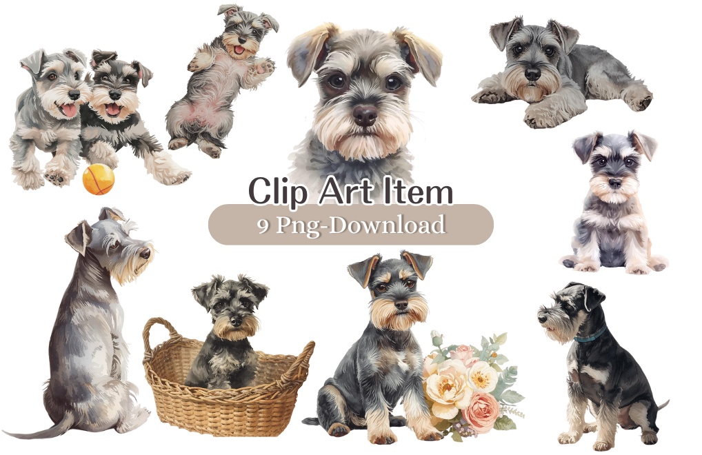 【犬】ミニュチュアシュナウザー　クリップアート9点セット（透過PNG）
